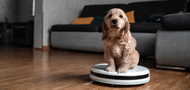 Aspirador Robô Inteligente
